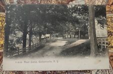 POSTCARD ROAD SCENE GRAHAMSVILLE N.Y.  CIRCA 1905. NEW YORK. picture