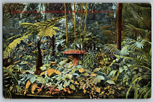 Philadelphia, Pennsylvania - Interior Horticultural Hall - Vintage Postcard picture