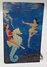 1960's Mermaid Riding A Seahorse Scene Weeki Wachee Springs Florida FL Postcard picture