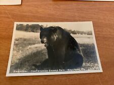 Real Photo Postcard Black Bear at Okefenokee Swamp Park Waycross GA picture