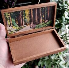 Vintage Small Hinged 5in Trinket Box Redwood Forest Souvenir Box picture
