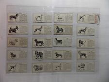 Typhoo Tea Cards Some Popular Breeds of Dogs 1955 Complete Set 20 in Pages picture