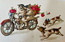 Cat Couple Riding Motorcycle Dogs Chase Vintage Postcard Anthropomorphic picture