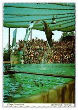 1970s - Dolphin Show At Kings Dominion - Richmond, Virginia Postcard (UnPosted) picture