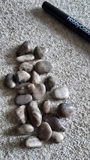Mini POLISHED Petoskey Stones Authentic Lake Michigan Fossils Craft Decor picture