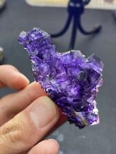 Exquisite！Camel shape double-sided multi-layer purple window cubic fluorite picture