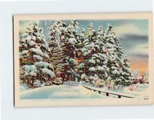 Postcard Forest Covered with Snow Winter Scene picture