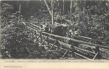 Postcard C-1908 Washington Pack Horses Foot Log Deep Canyon WA24-1791 picture