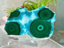 A Super Specimen of Botryoidal Chrysocolla on Malachite 232 grams picture