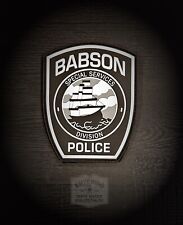 Babson College PD Special Services Unit PVC Hook And Loop patch picture