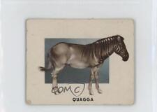 1951 Topps Animals of the World R714-1 Quagga #188 0o2b picture