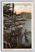 Sapphire Country NC- North Carolina, Dogwood On Lake, Vintage c1920 Postcard picture