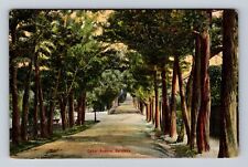 Bermuda- Cedar Avenue, Antique, Vintage Souvenir Postcard picture