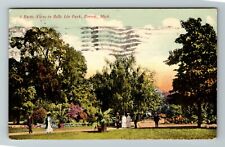Detroit MI-Michigan, A Rustic View In Belle Isle Park, Scenic, Vintage Postcard picture