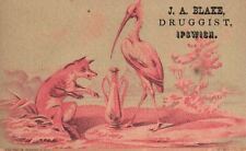 1880s-90s Fox and Bird at Play J.A. Blake Druggist Ipswich MA Trade Card picture