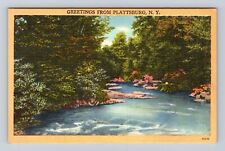Plattsburg NY-New York, General Greetings, Country River, Vintage Postcard picture