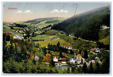 1930 View of Triberg im Schwarzwald Baden-Württemberg Germany Postcard picture