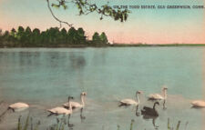 Old Greenwich Connecticut Tods Point Tide Pond Lake Postcard picture