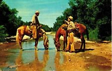 Lot of 7 Old Timers & Horses photo postcards Leonard Borman's reference material picture
