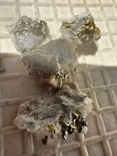 Prospector's Dream: Authentic Gold, Silver, Platinum Ore 5 LBS. picture