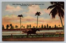 Early Morning Workout Gulfstream Park Hallandale Florida Unposted Linen Postcard picture