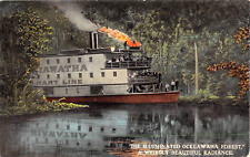 c.1910 Hart Line Steamer Hiawatha Illuminating Ocklawaha Forest FL post card picture