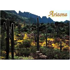 Postcard Arizona - Saguaro Cactus and Desert Poppies Contrast of Plants picture