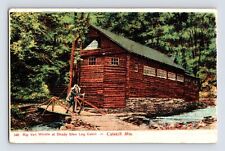 Postcard New York Catskills Rip Van Winkle Shady Glen Cabin Pre-1907 Unposted picture