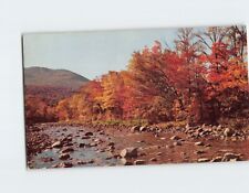 Postcard Picturesque River Scene in Autumn picture