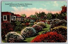 California CA - Floral Gardens - Bungalow Residence - Vintage Postcard picture