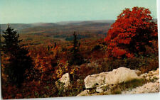 View From Summit of Spruce Knob near Elkins, West Virginia postcard. picture