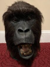 MIGHTY JOE YOUNG, Rick Baker, Gorilla, Not Don Post, Death Studios, Distortions picture