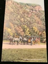 Eagle Cliff ,Franconia Notch , NH c1910 Horse Drawn Carriage picture