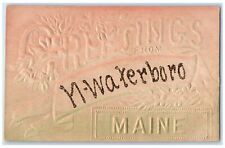 c1910 Greetings From N Waterboro Glitter Maine Embossed Correspondence Postcard picture