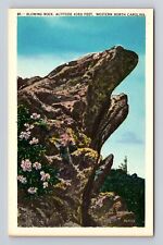 Blowing Rock NC-North Carolina, John's River Gorge, Antique Vintage Postcard picture