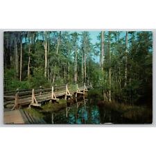 Postcard GA Waycross Okefenokee Swamp Park picture