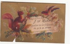 J A Leckie Dry Goods Squirrel Bird Branch  Vict Card c1880s picture