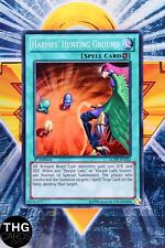 Harpies Hunting Ground LCJW-EN102 1st Edition Super Rare Yugioh Card picture