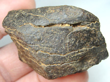 Meteorite - SLS-1890 - 79.0g - EXCELLENT METEORITE SPECIMEN - NATURAL METEORITE picture