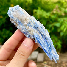 96G Rare Natural beautiful Blue KYANITE with Quartz Crystal Specimen Rough picture