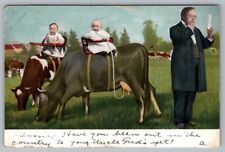 Postcard Babies Riding Cows Drinking Milk From Dairy Cow Udders c1906 picture