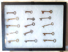 Skeleton Key Lot Of 15 With Case Solid Antique Pass Keys Victorian Shadowbox Art picture