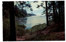 Twain Harte Lake California Highway 108 scenic unused vintage postcard picture