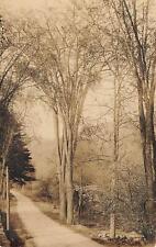 1910s RPPC Enchanting Tree Forest Note Winsted Connecticut Real Photo Postcard picture
