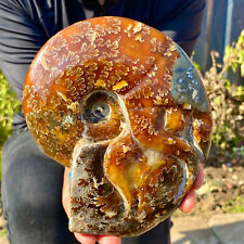 2.13LB Rare Natural Tentacle Ammonite FossilSpecimen Shell Healing Madagascar picture