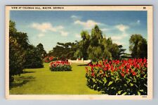 Macon GA-Georgia, View At Coleman Hill, Antique, Vintage Souvenir Postcard picture
