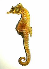 10 Vintage Real Natural Dried Seahorse Specimen Hippocampus Erectus Skeleton picture