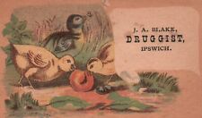 1880s-90s Small Chicks Eating Worm J.A. Blake Druggist Ipswich Trade Card picture