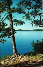 Picturesque Lake Scene, Norway Pines-Sentinels of The Lake Country Postcard picture