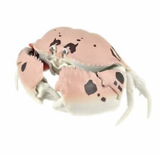 Bandai Japan Exclusive Dango Mushi Glasses Calappa Box Crab Figure picture